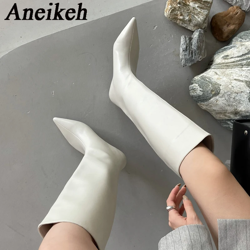 Sewing Net - Aneikeh/2026, модные пикантные сапоги до колена